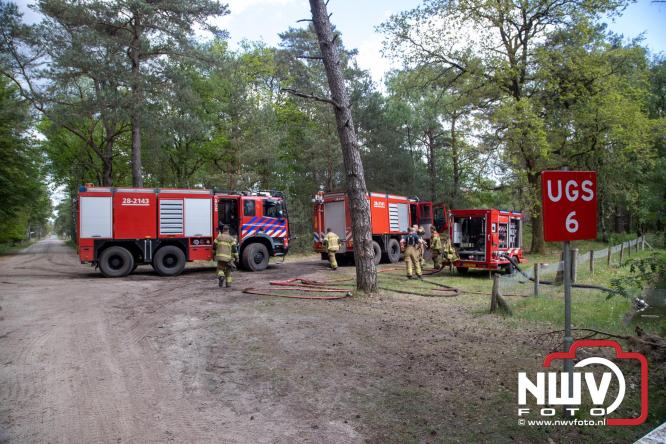 Kleine natuurbrand op oude brand lokatie ASK Noorderweg Nunspeet - &copy; NWVFoto.nl