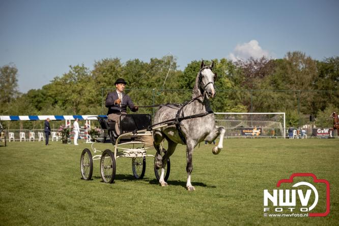 Tuigpaarden stelen de show tijdens sfeervol concours op De Haere in Doornspijk. - &copy; NWVFoto.nl