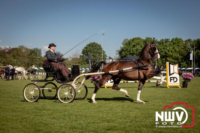 Tuigpaarden stelen de show tijdens sfeervol concours op De Haere in Doornspijk. - &copy; NWVFoto.nl