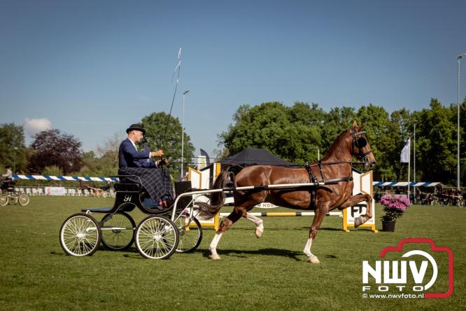 Tuigpaarden stelen de show tijdens sfeervol concours op De Haere in Doornspijk. - &copy; NWVFoto.nl