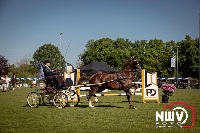 Tuigpaarden stelen de show tijdens sfeervol concours op De Haere in Doornspijk. - &copy; NWVFoto.nl