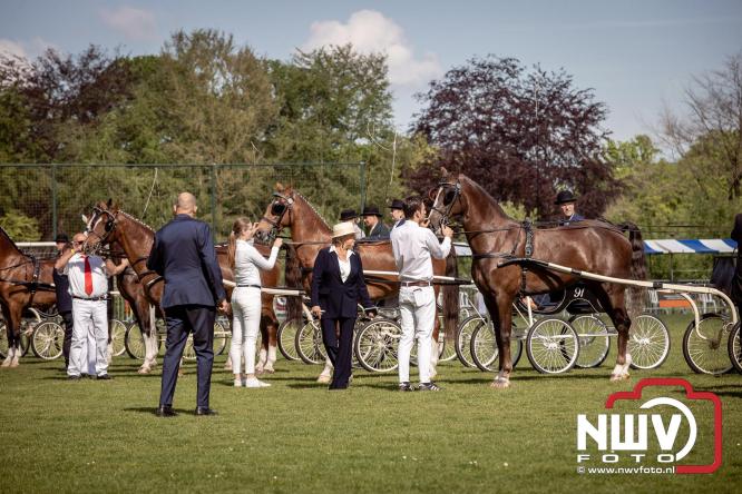 Tuigpaarden stelen de show tijdens sfeervol concours op De Haere in Doornspijk. - &copy; NWVFoto.nl