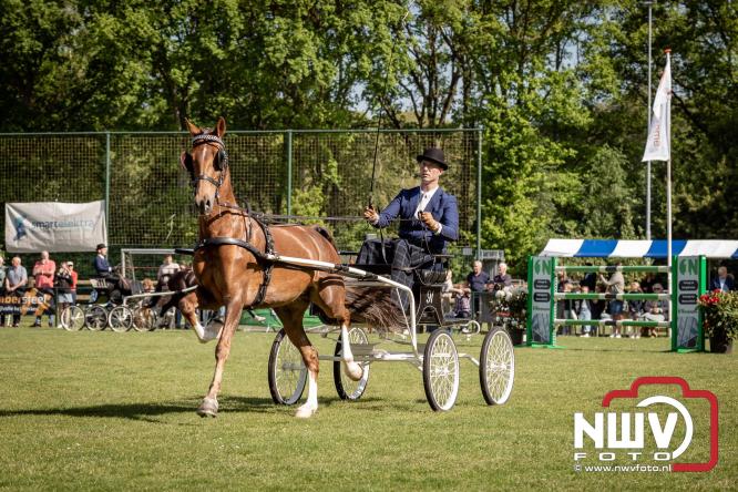 Tuigpaarden stelen de show tijdens sfeervol concours op De Haere in Doornspijk. - &copy; NWVFoto.nl