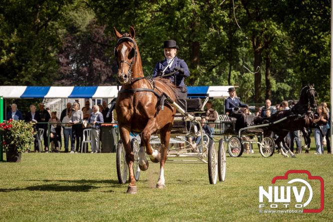 Tuigpaarden stelen de show tijdens sfeervol concours op De Haere in Doornspijk. - &copy; NWVFoto.nl