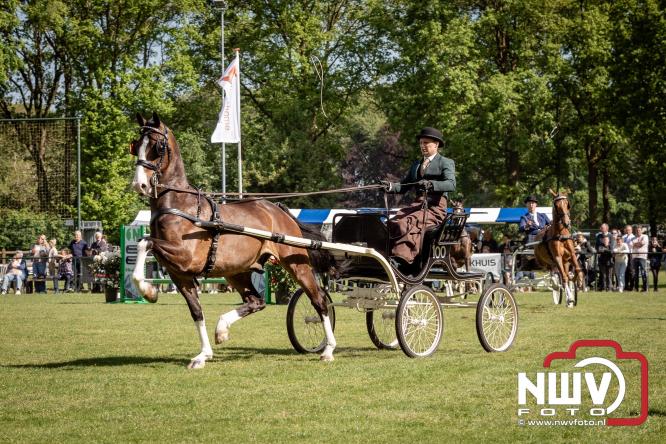 Tuigpaarden stelen de show tijdens sfeervol concours op De Haere in Doornspijk. - &copy; NWVFoto.nl