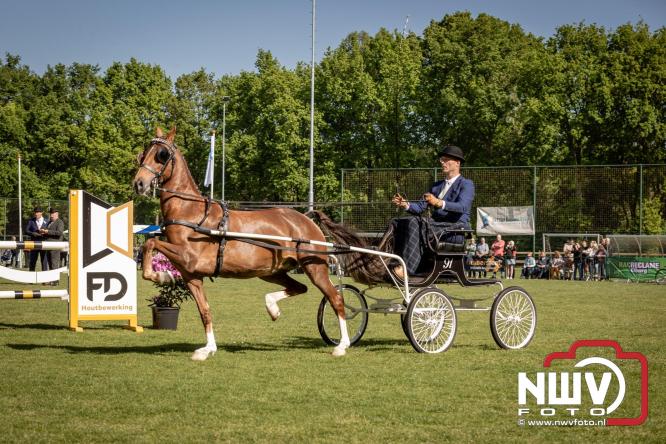 Tuigpaarden stelen de show tijdens sfeervol concours op De Haere in Doornspijk. - &copy; NWVFoto.nl