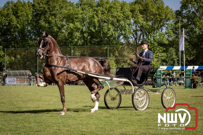 Tuigpaarden stelen de show tijdens sfeervol concours op De Haere in Doornspijk. - &copy; NWVFoto.nl