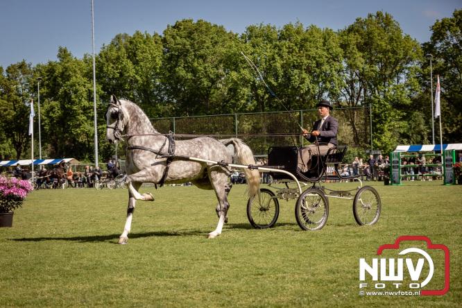 Tuigpaarden stelen de show tijdens sfeervol concours op De Haere in Doornspijk. - &copy; NWVFoto.nl