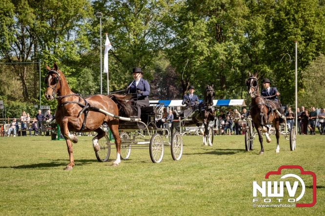 Tuigpaarden stelen de show tijdens sfeervol concours op De Haere in Doornspijk. - &copy; NWVFoto.nl
