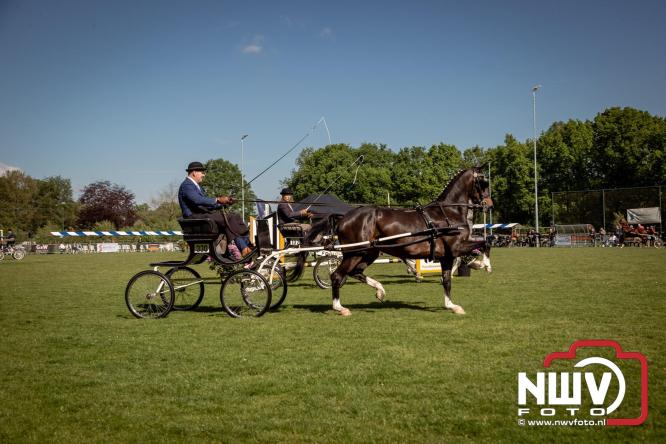 Tuigpaarden stelen de show tijdens sfeervol concours op De Haere in Doornspijk. - &copy; NWVFoto.nl