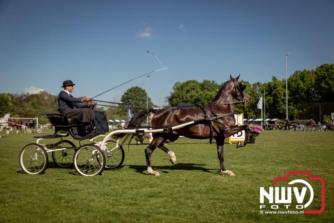 Tuigpaarden stelen de show tijdens sfeervol concours op De Haere in Doornspijk. - &copy; NWVFoto.nl