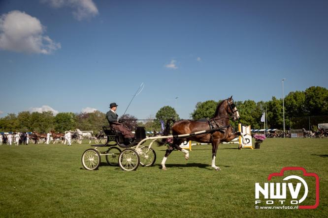 Tuigpaarden stelen de show tijdens sfeervol concours op De Haere in Doornspijk. - &copy; NWVFoto.nl