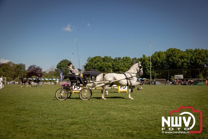 Tuigpaarden stelen de show tijdens sfeervol concours op De Haere in Doornspijk. - &copy; NWVFoto.nl