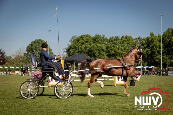 Tuigpaarden stelen de show tijdens sfeervol concours op De Haere in Doornspijk. - &copy; NWVFoto.nl