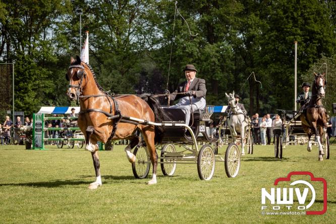 Tuigpaarden stelen de show tijdens sfeervol concours op De Haere in Doornspijk. - &copy; NWVFoto.nl