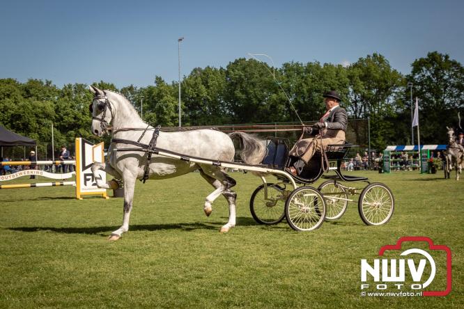 Tuigpaarden stelen de show tijdens sfeervol concours op De Haere in Doornspijk. - &copy; NWVFoto.nl