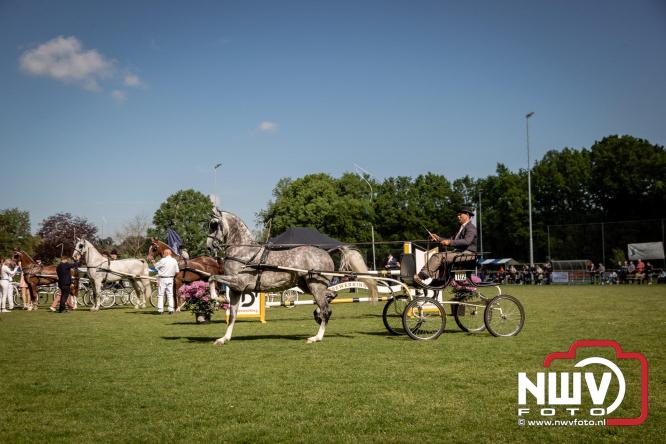 Tuigpaarden stelen de show tijdens sfeervol concours op De Haere in Doornspijk. - &copy; NWVFoto.nl