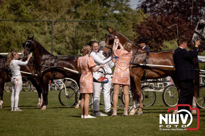 Tuigpaarden stelen de show tijdens sfeervol concours op De Haere in Doornspijk. - &copy; NWVFoto.nl