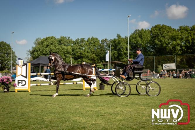 Tuigpaarden stelen de show tijdens sfeervol concours op De Haere in Doornspijk. - &copy; NWVFoto.nl
