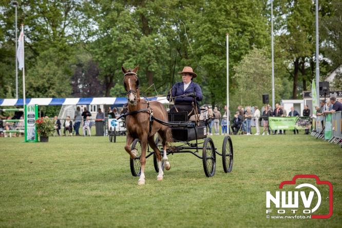 Tuigpaarden stelen de show tijdens sfeervol concours op De Haere in Doornspijk. - &copy; NWVFoto.nl