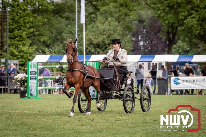 Tuigpaarden stelen de show tijdens sfeervol concours op De Haere in Doornspijk. - &copy; NWVFoto.nl