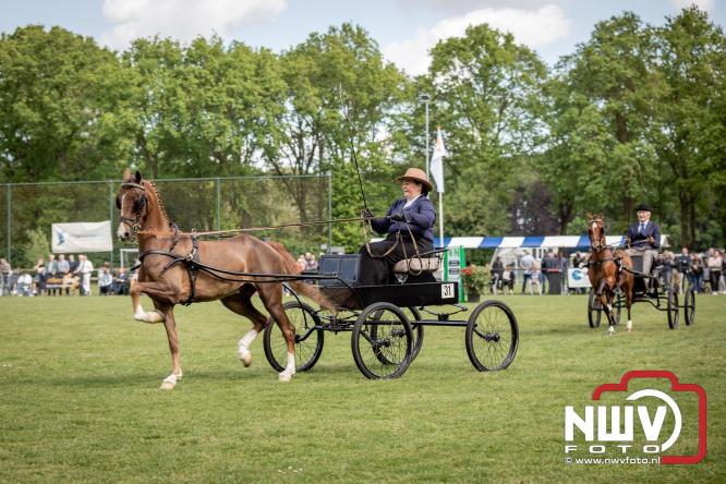 Tuigpaarden stelen de show tijdens sfeervol concours op De Haere in Doornspijk. - &copy; NWVFoto.nl