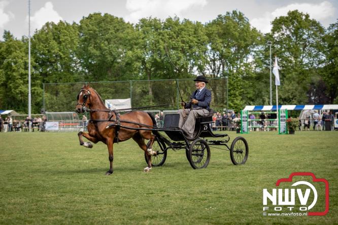 Tuigpaarden stelen de show tijdens sfeervol concours op De Haere in Doornspijk. - &copy; NWVFoto.nl
