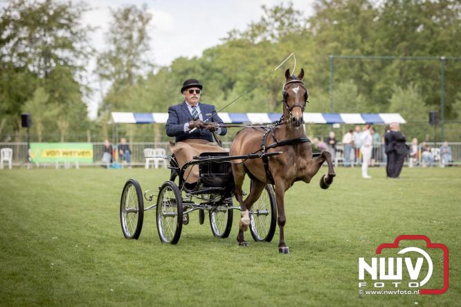 Tuigpaarden stelen de show tijdens sfeervol concours op De Haere in Doornspijk. - &copy; NWVFoto.nl