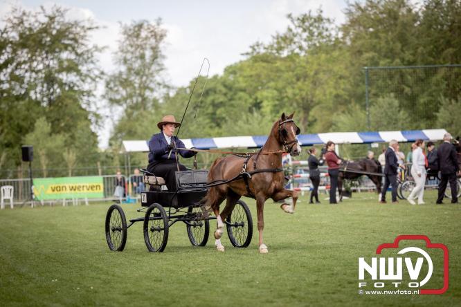 Tuigpaarden stelen de show tijdens sfeervol concours op De Haere in Doornspijk. - &copy; NWVFoto.nl