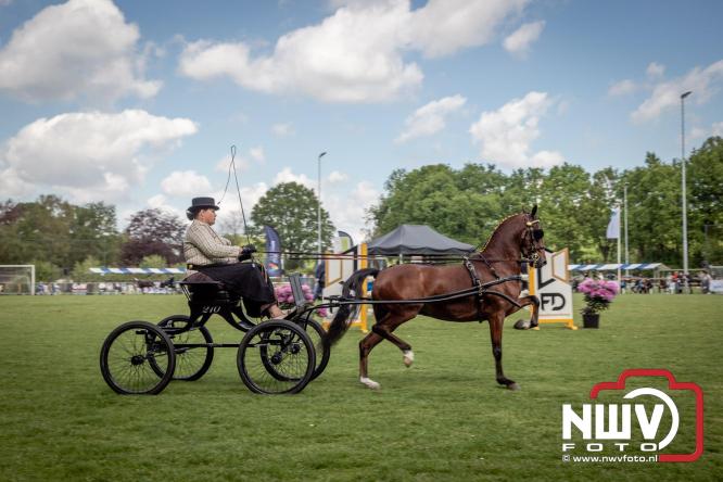 Tuigpaarden stelen de show tijdens sfeervol concours op De Haere in Doornspijk. - &copy; NWVFoto.nl