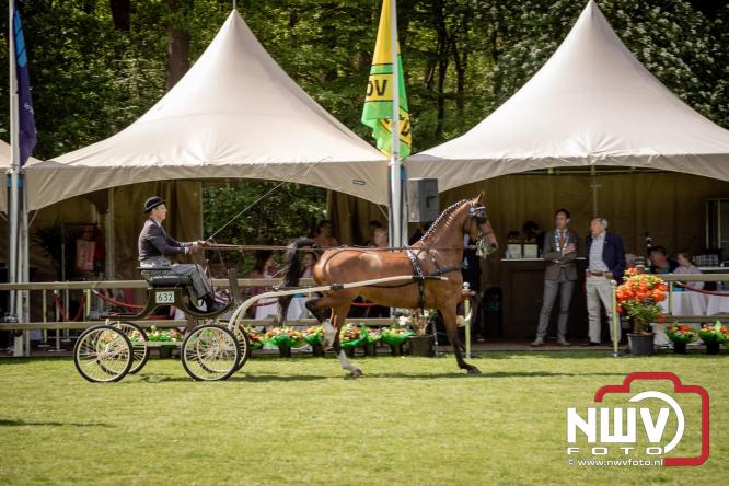 Tuigpaarden stelen de show tijdens sfeervol concours op De Haere in Doornspijk. - &copy; NWVFoto.nl