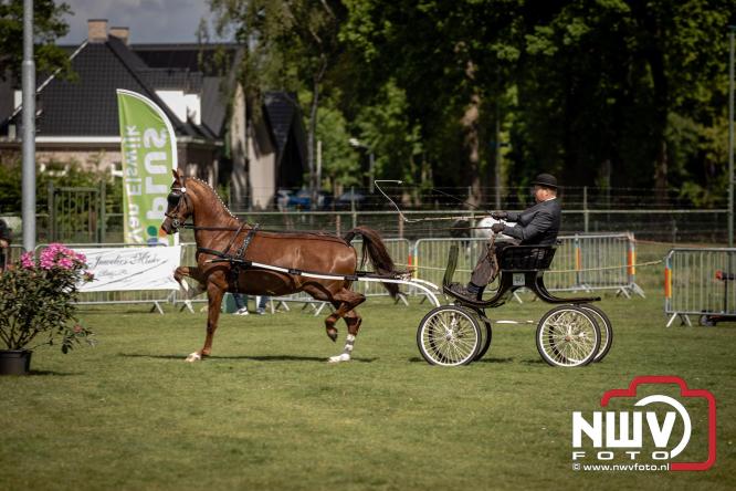 Tuigpaarden stelen de show tijdens sfeervol concours op De Haere in Doornspijk. - &copy; NWVFoto.nl