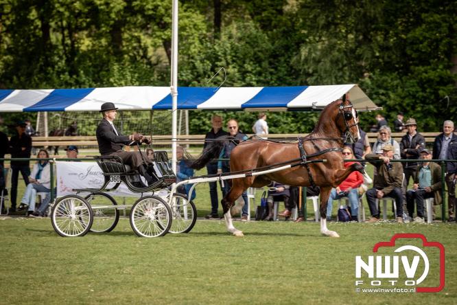 Tuigpaarden stelen de show tijdens sfeervol concours op De Haere in Doornspijk. - &copy; NWVFoto.nl