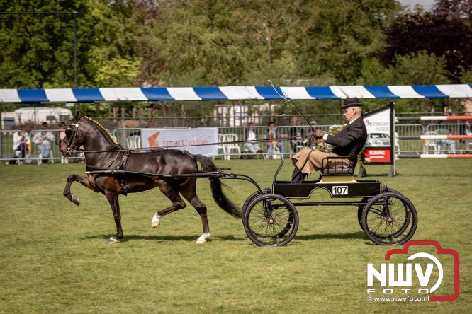 Tuigpaarden stelen de show tijdens sfeervol concours op De Haere in Doornspijk. - &copy; NWVFoto.nl