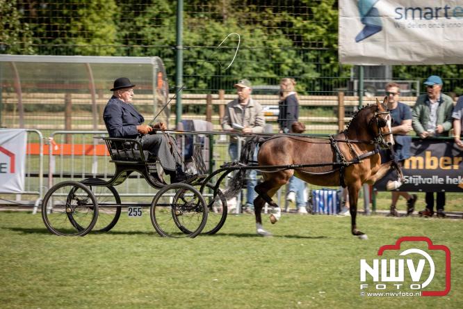 Tuigpaarden stelen de show tijdens sfeervol concours op De Haere in Doornspijk. - &copy; NWVFoto.nl