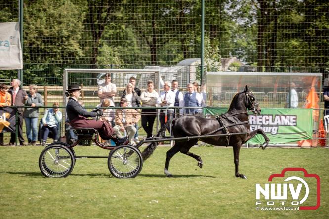 Tuigpaarden stelen de show tijdens sfeervol concours op De Haere in Doornspijk. - &copy; NWVFoto.nl