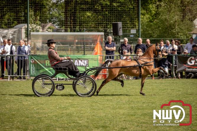 Tuigpaarden stelen de show tijdens sfeervol concours op De Haere in Doornspijk. - &copy; NWVFoto.nl