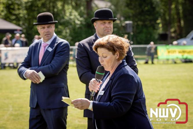 Tuigpaarden stelen de show tijdens sfeervol concours op De Haere in Doornspijk. - &copy; NWVFoto.nl