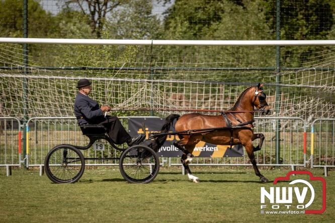 Tuigpaarden stelen de show tijdens sfeervol concours op De Haere in Doornspijk. - &copy; NWVFoto.nl