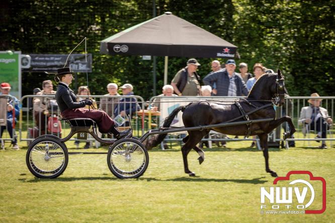 Tuigpaarden stelen de show tijdens sfeervol concours op De Haere in Doornspijk. - &copy; NWVFoto.nl