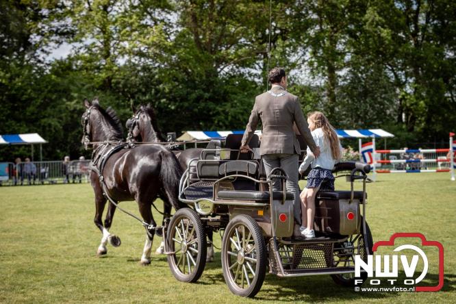 Tuigpaarden stelen de show tijdens sfeervol concours op De Haere in Doornspijk. - &copy; NWVFoto.nl