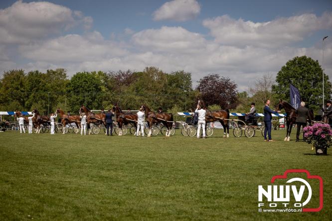 Tuigpaarden stelen de show tijdens sfeervol concours op De Haere in Doornspijk. - &copy; NWVFoto.nl