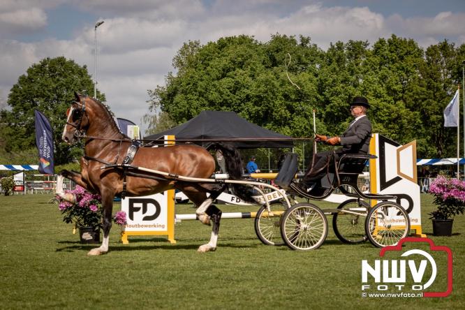 Tuigpaarden stelen de show tijdens sfeervol concours op De Haere in Doornspijk. - &copy; NWVFoto.nl