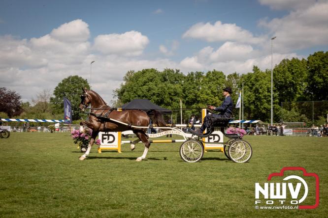 Tuigpaarden stelen de show tijdens sfeervol concours op De Haere in Doornspijk. - &copy; NWVFoto.nl