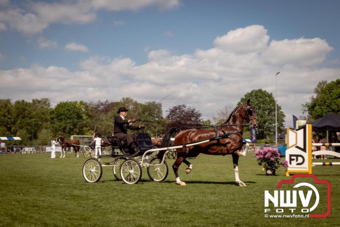 Tuigpaarden stelen de show tijdens sfeervol concours op De Haere in Doornspijk. - &copy; NWVFoto.nl