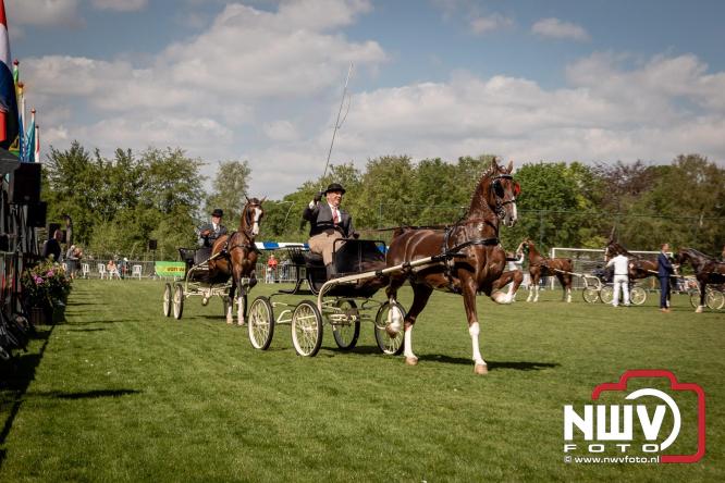 Tuigpaarden stelen de show tijdens sfeervol concours op De Haere in Doornspijk. - &copy; NWVFoto.nl