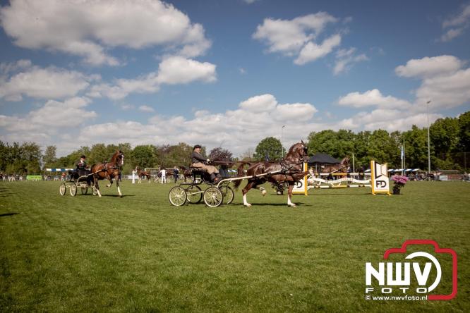 Tuigpaarden stelen de show tijdens sfeervol concours op De Haere in Doornspijk. - &copy; NWVFoto.nl