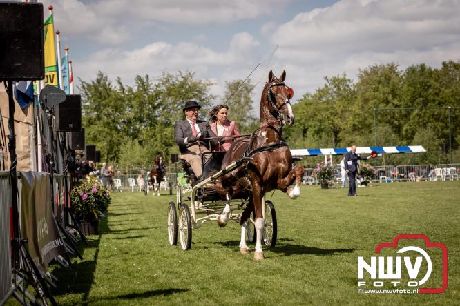 Tuigpaarden stelen de show tijdens sfeervol concours op De Haere in Doornspijk. - &copy; NWVFoto.nl
