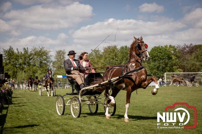 Tuigpaarden stelen de show tijdens sfeervol concours op De Haere in Doornspijk. - &copy; NWVFoto.nl