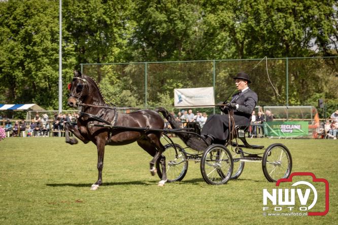 Tuigpaarden stelen de show tijdens sfeervol concours op De Haere in Doornspijk. - &copy; NWVFoto.nl